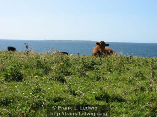 Streedagh Strand